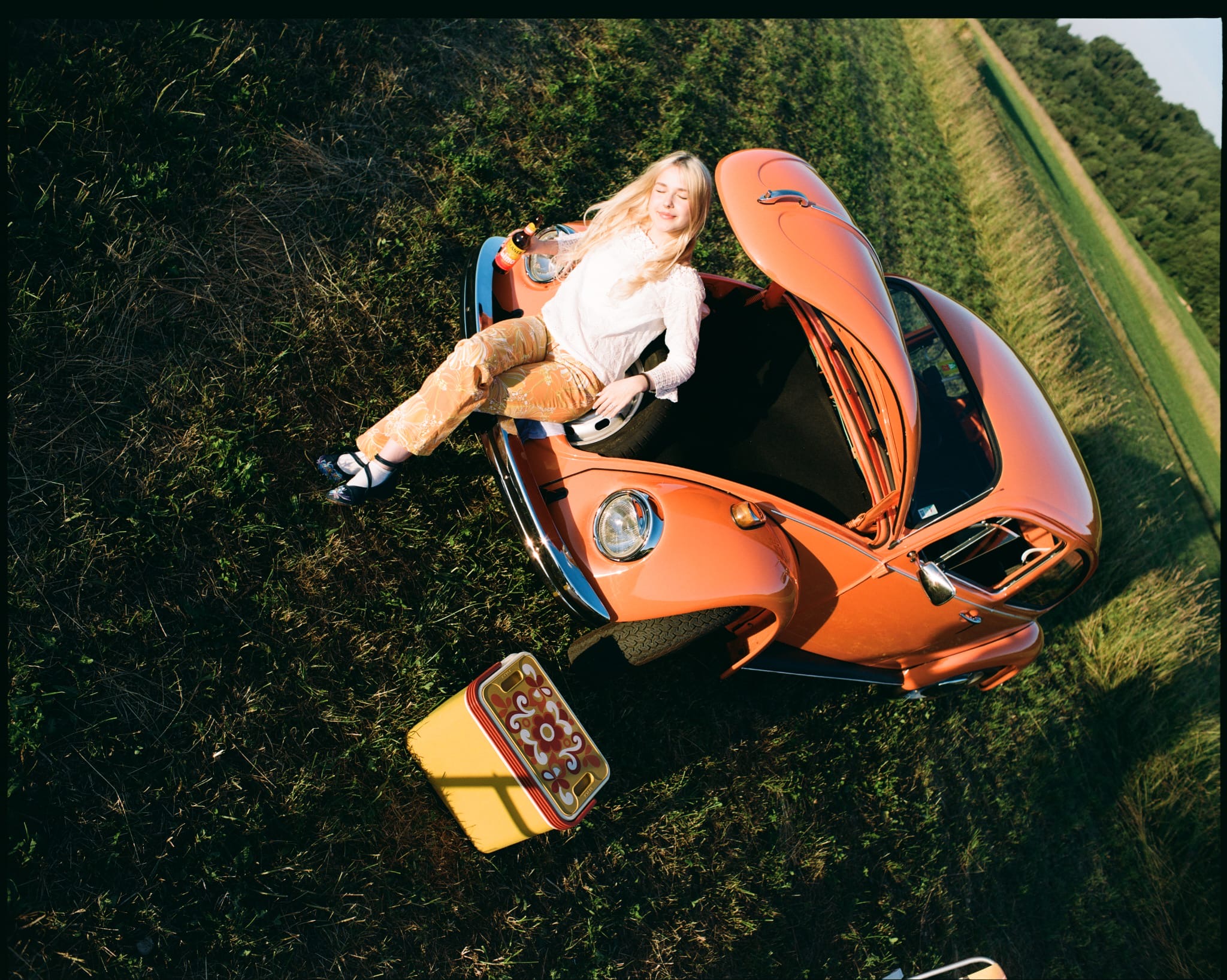 Orange Käfer — frame 1