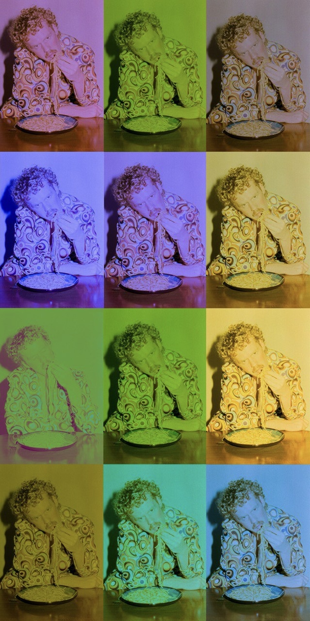 Pop-art grid of Sindri eating spaghetti in twelve color tints — cover of the series