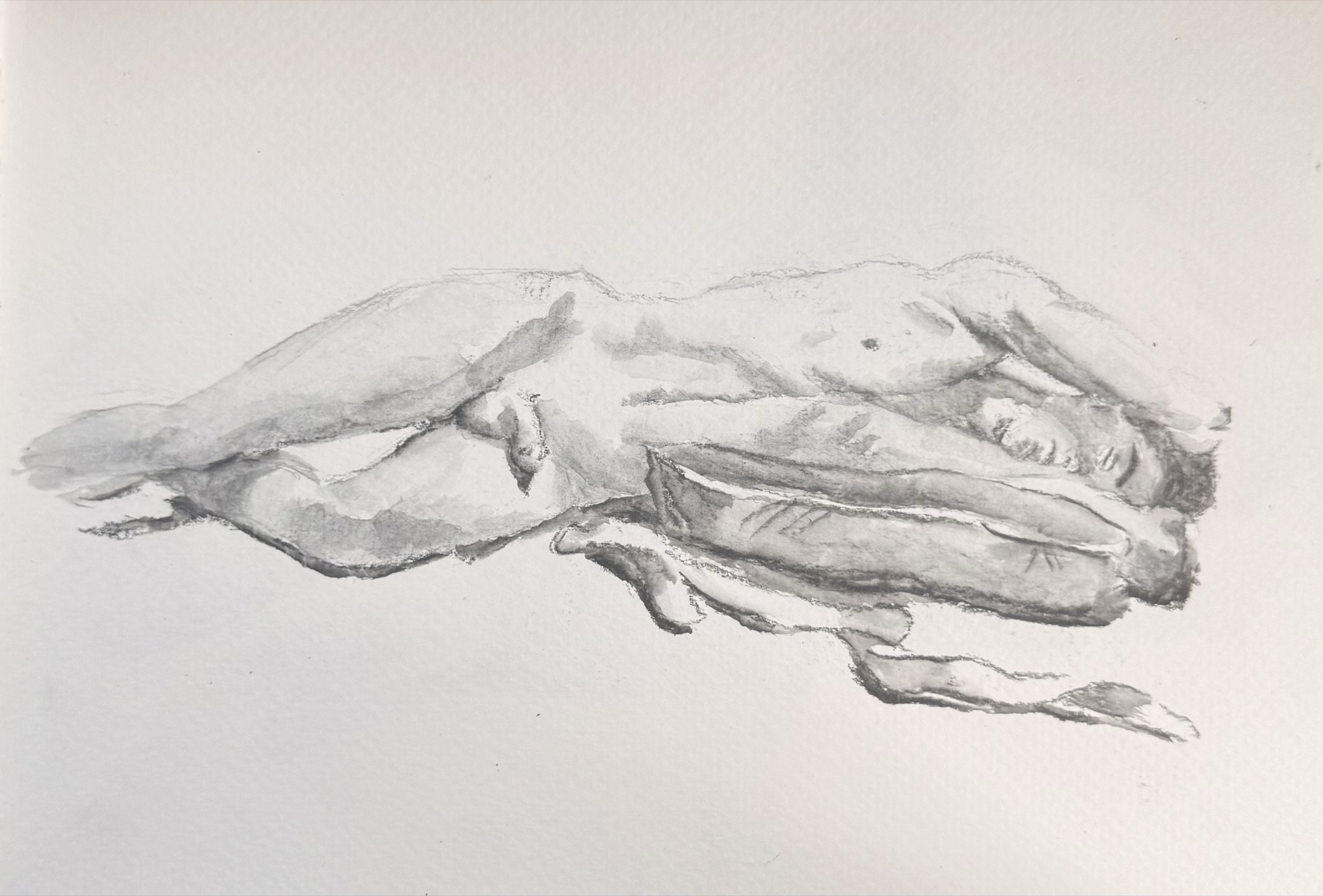 Life drawings — N° 7 — lying pose, 2026